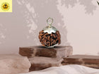 Ganesha Mukhi (Ganapathy, Vinayaka) Rudraksha - Rudra Kailash