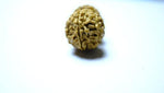 Gowri Shankar Rudraksha - Collector - Rudra Kailash