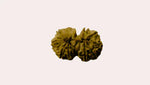 Gowri Shankar Rudraksha - Collector - Rudra Kailash