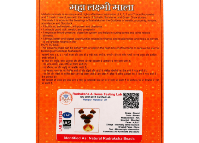 Mahalakshmi Kavach - Rudra Kailash