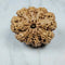Nine Mukhi 9 Face Rudraksha Premium - Goddess Durga Power, Confidence & Positivity, Neutralizes Ketu's Effects - Rudra Kailash
