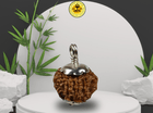 Nine Mukhi 9 Face Rudraksha - Small - Rudra Kailash