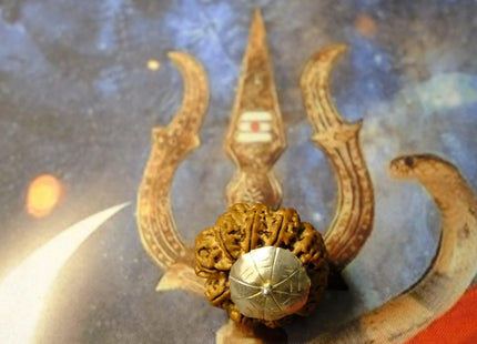Nine Mukhi Premium Rudraksh - Rudra Kailash