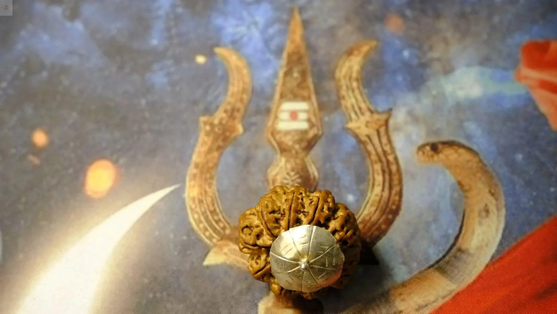 Nine Mukhi Premium Rudraksh - Rudra Kailash