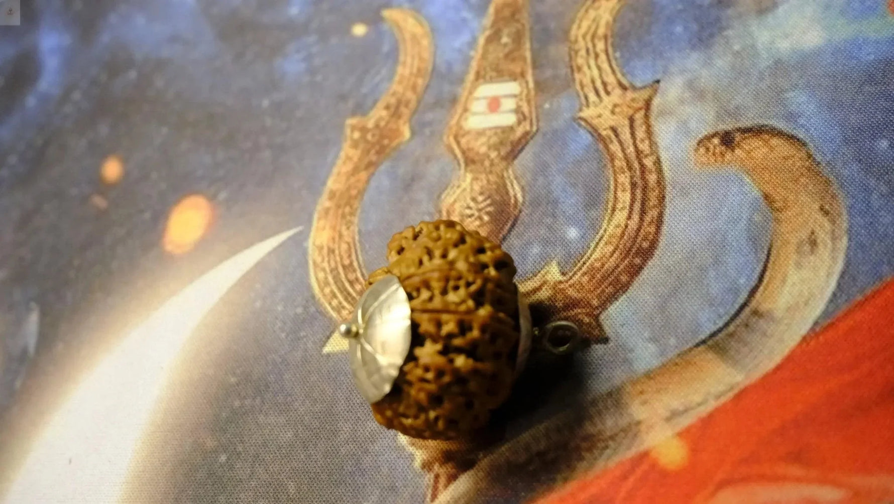 Nine Mukhi Premium Rudraksh - Rudra Kailash