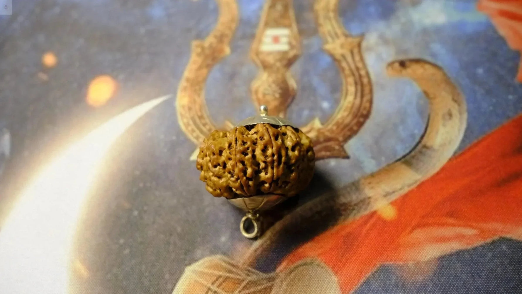 Nine Mukhi Premium Rudraksh - Rudra Kailash