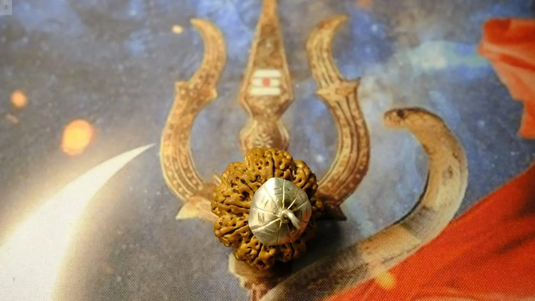 Nine Mukhi Premium Rudraksh - Rudra Kailash