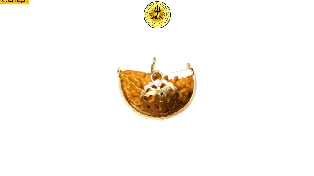 One Mukhi 1 Face Rudraksha - Represents Unity, Oneness and the Ultimate Divine Energy - Rudra Kailash