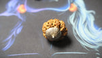 Premium Nine Mukhi Rudraksha - Rudra Kailash