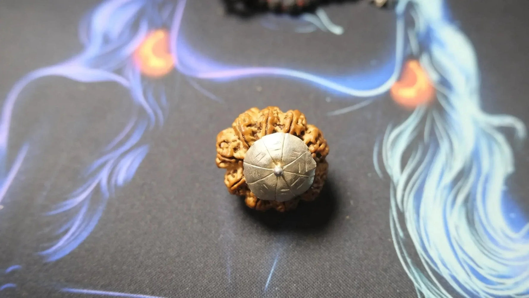 Premium Nine Mukhi Rudraksha - Rudra Kailash