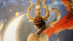 Premium Six Mukhi Rudraksh - Rudra Kailash