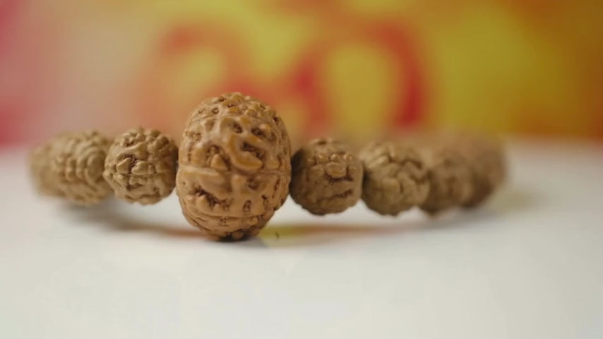 9 Mukhi Rudraksha Bracelet