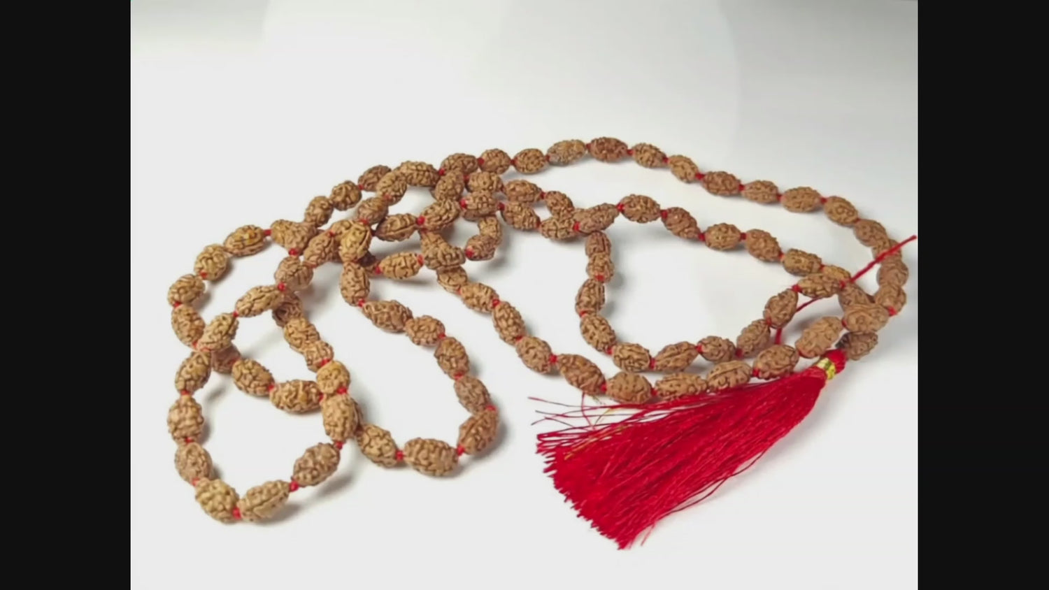 2 Mukhi Rudraksha Mala