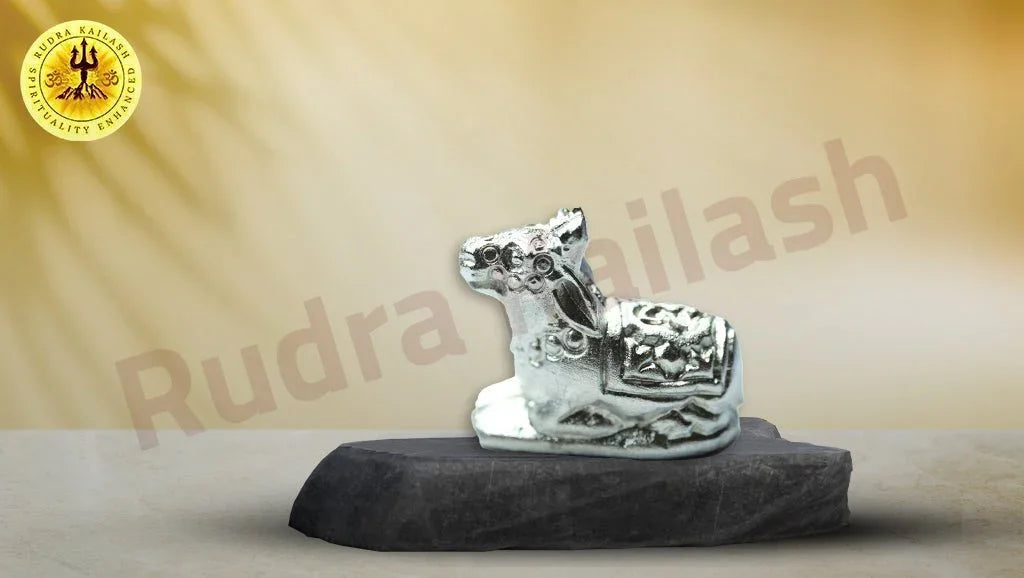 Pure Parad Nandi - Rudra Kailash