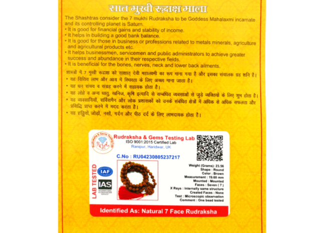 Seven Mukhi 7 Face Indonesian Rudraksha Mala - Rudra Kailash