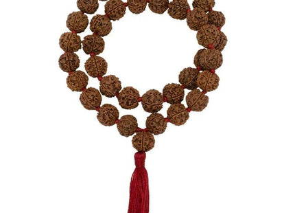 Six Mukhi 6 Face - Kantha Mala - Rudra Kailash