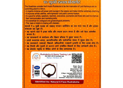 Six Mukhi 6 Face Rudraksha - Bracelet - Rudra Kailash