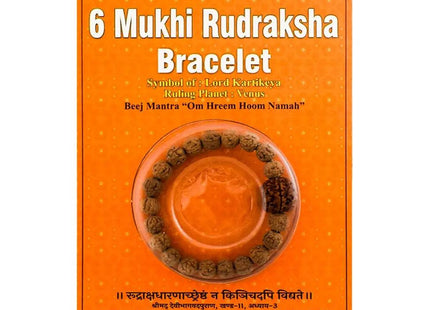 Six Mukhi 6 Face Rudraksha - Bracelet - Rudra Kailash