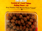 Ten Mukhi 10 Face Indonesian Rudraksha Mala - Rudra Kailash