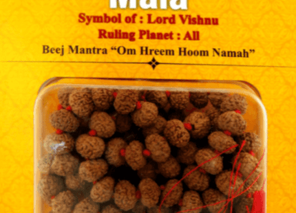 Ten Mukhi 10 Face Indonesian Rudraksha Mala - Rudra Kailash