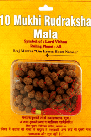 Ten Mukhi 10 Face Indonesian Rudraksha Mala - Rudra Kailash