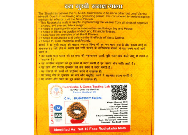 Ten Mukhi 10 Face Indonesian Rudraksha Mala - Rudra Kailash