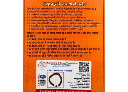 Three Mukhi 3 Face Rudraksha Bracelet - Rudra Kailash