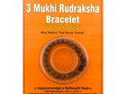 Three Mukhi 3 Face Rudraksha Bracelet - Rudra Kailash