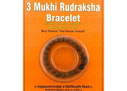 Three Mukhi 3 Face Rudraksha Bracelet - Rudra Kailash