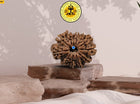 Twelve Mukhi 12 Face Premium Rudraksha – Energy, Decision Making & Leadership - Rudra Kailash