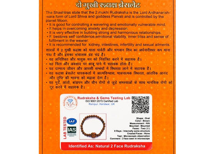 Two Mukhi 2 Face Rudraksh Bracelet - Rudra Kailash