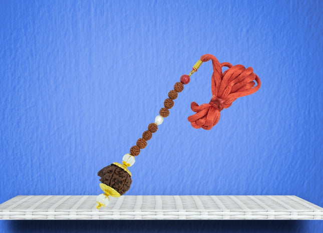 Vaastu Dosh Remover Rudraksha Hanging - Rudra Kailash